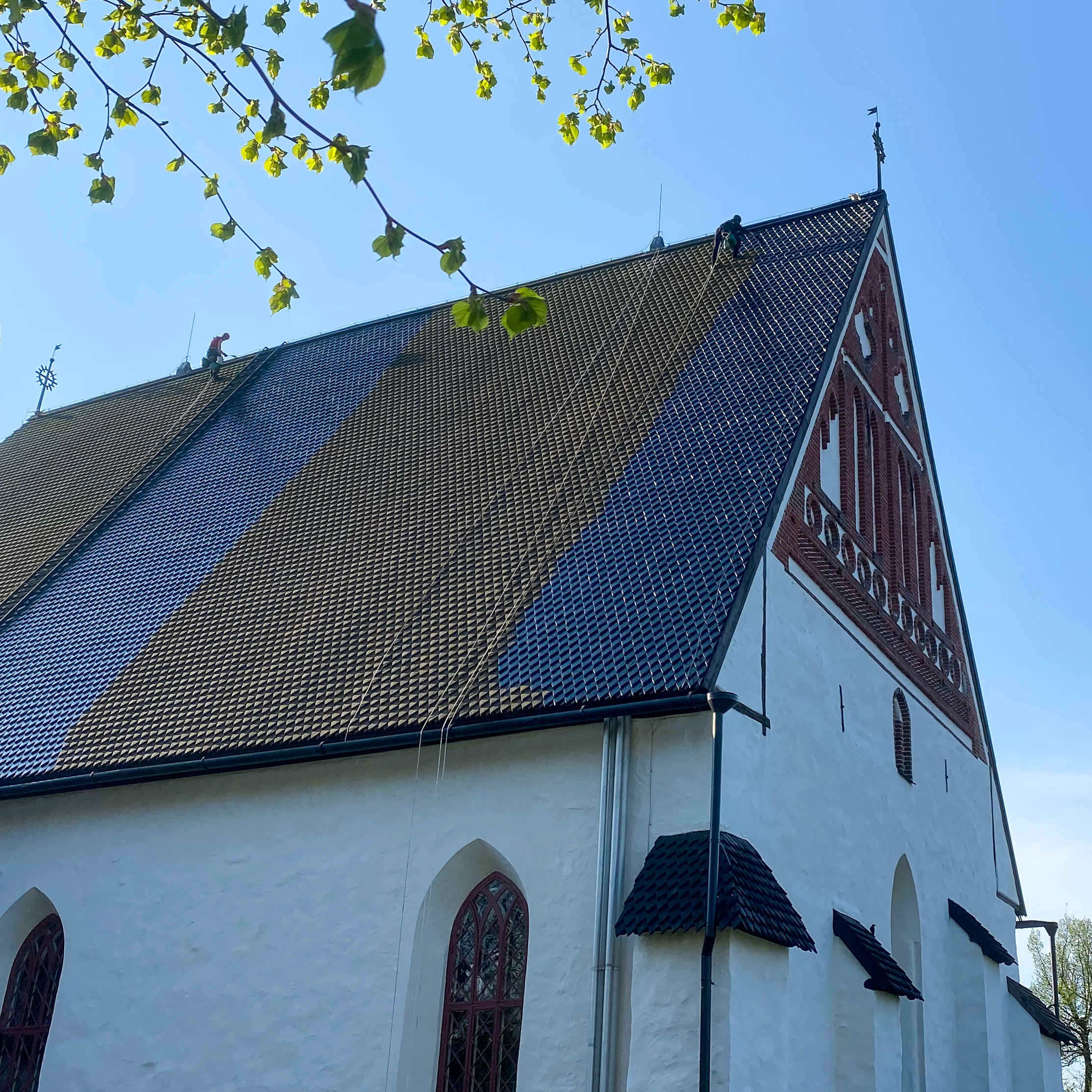 Tervaajat työskentelevät köysien varassa tuomiokirkon katolla.